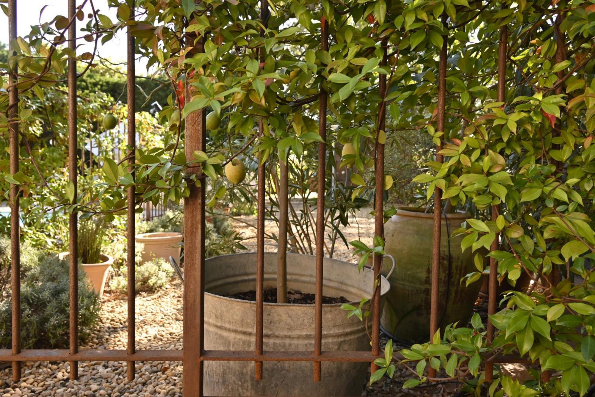 Bastide Le Petit Clos - Les 2 Holiday home Perpignan