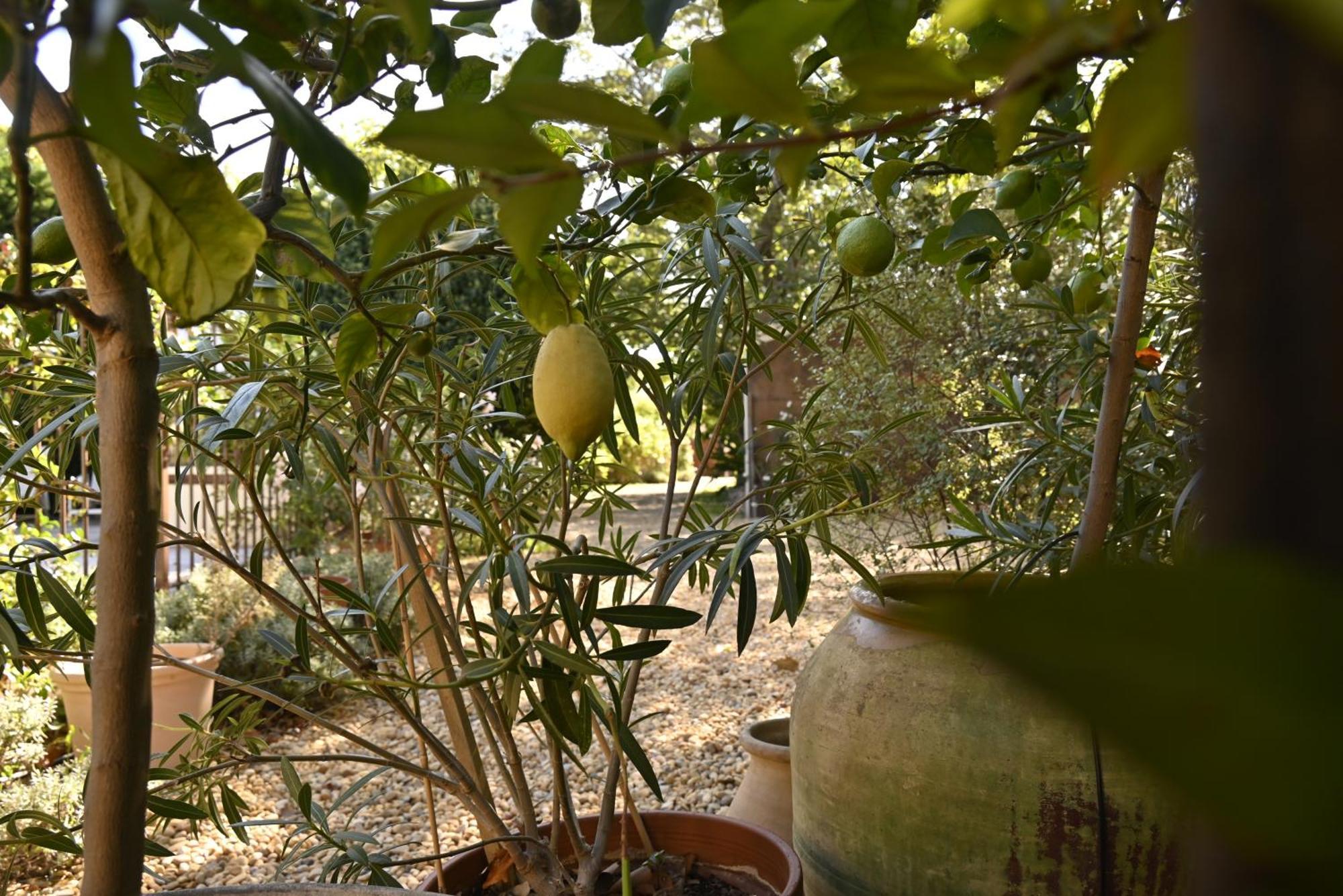 Bastide Le Petit Clos - Les 2 * Perpignan
